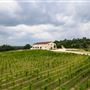 Villa at the Vineyard
