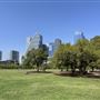 Auditorium Shores (Austin Parks & Recreation Department)