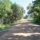 Jones Road