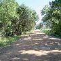 Jones Road