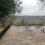 Driftwood Estate Winery and Vineyard
