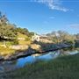 Kestrel Ranch