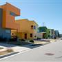 Agave Neighborhood