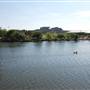 Lady Bird Lake