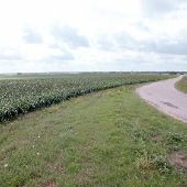 County Road 334