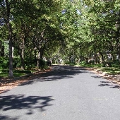 Tarrytown Neighborhood - Bonnie Road