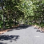 Tarrytown Neighborhood - Bonnie Road