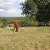 Brockenbrough Ranch