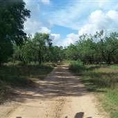 The Retreat at Balcones Springs
