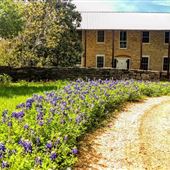 Stagecoach Inn & Livery Stable