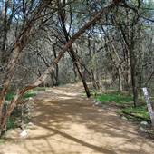 Barton Creek Greenbelt (Austin Parks & Recreation Department)