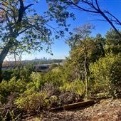 Allen Park (Travis County Parks)