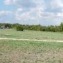 Mary Moore Searight Metropolitan Park (Austin Parks & Recreation Department)