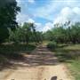 The Retreat at Balcones Springs