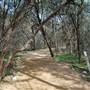 Barton Creek Greenbelt (Austin Parks & Recreation Department)