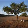 Four Winns Ranch