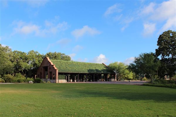 Camp Lucy