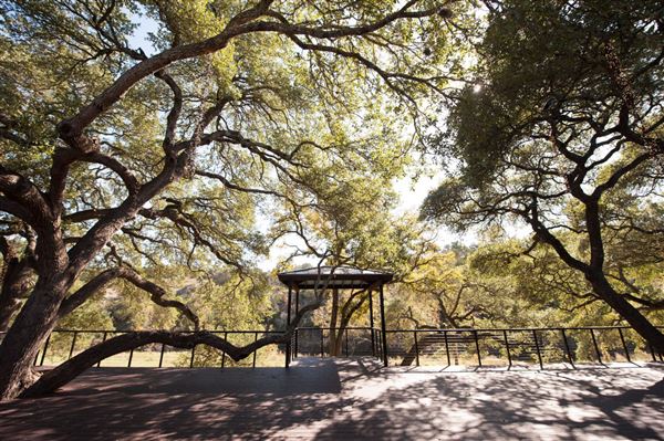 Camp Lucy