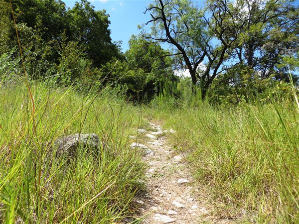 Jessica Hollis Park (LCRA)