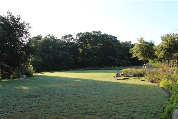 Camp Lucy